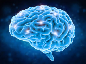 Blue brain graphic with highlights on dark blue background